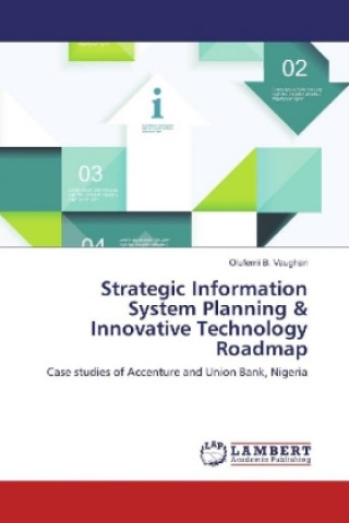 Kniha Strategic Information System Planning & Innovative Technology Roadmap Olufemi B. Vaughan