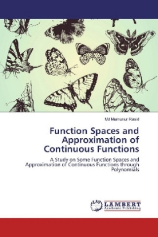 Kniha Function Spaces and Approximation of Continuous Functions Md Mamunur Rasid