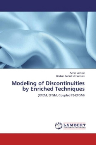 Könyv Modeling of Discontinuities by Enriched Techniques Azher Jameel