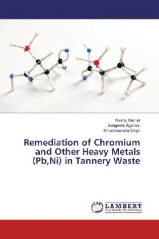 Könyv Remediation of Chromium and Other Heavy Metals (Pb,Ni) in Tannery Waste Neeraj Kumar