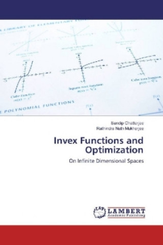 Książka Invex Functions and Optimization Sandip Chatterjee