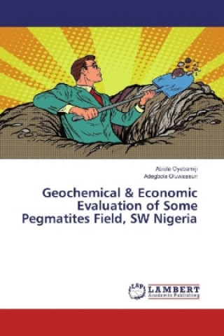 Könyv Geochemical & Economic Evaluation of Some Pegmatites Field, SW Nigeria Abiola Oyebamiji