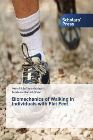 Könyv Biomechanics of Walking in Individuals with Flat Feet AmirAli Jafarnezhadgero