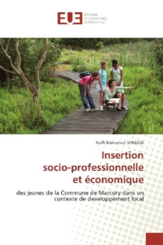 Książka Insertion socio-professionnelle et économique Koffi Mohamed Syndou