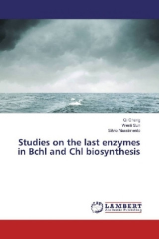 Kniha Studies on the last enzymes in Bchl and Chl biosynthesis Qi Cheng