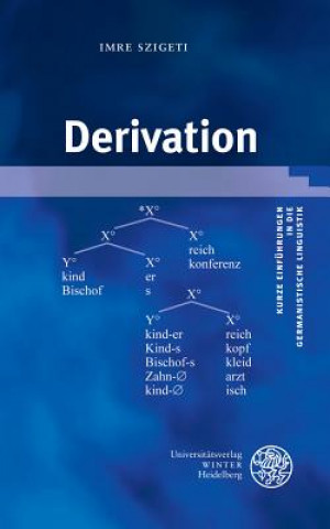 Knjiga Derivation Imre Szigeti