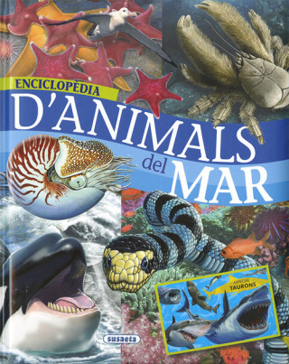 Libro Enciclopedia d'animal del mar 