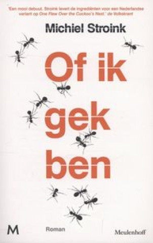 Kniha Of ik gek ben Michiel Stroink