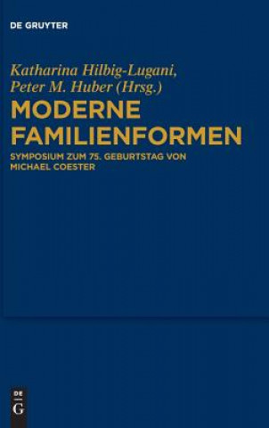 Könyv Moderne Familienformen Katharina Hilbig-Lugani