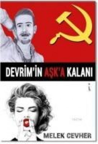 Book Devrimin Aska Kalani Melek Cevher