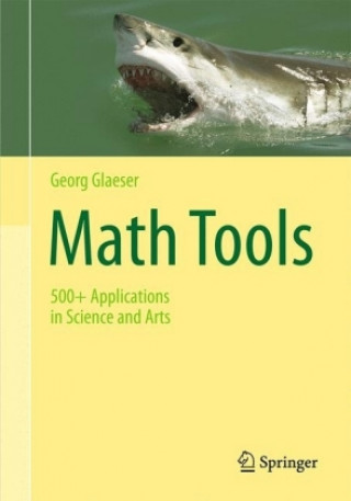 Książka Math Tools Georg Glaeser