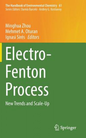 Kniha Electro-Fenton Process Minghua Zhou