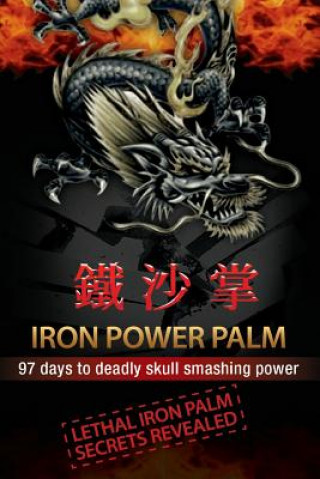 Könyv Iron Power Palm: 97 days to skull smashing power MR Gareth Morgan Thomas