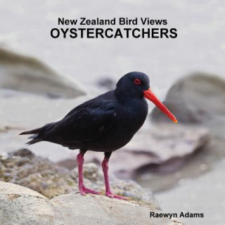 Kniha New Zealand Bird Views Raewyn Adams