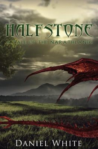 Carte Halfstone: A Tale of the Narathlands Daniel White