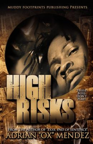 Knjiga High Risks Adrian Ox Mendez