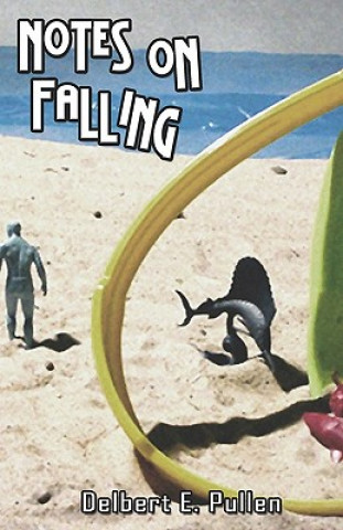 Livro Notes on Falling Delbert E Pullen