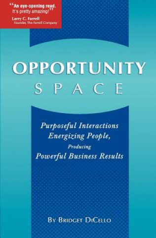 Kniha Opportunity Space: Purposeful Interactions, Energizing People, Producing Powerful Business Results Bridget M Dicello