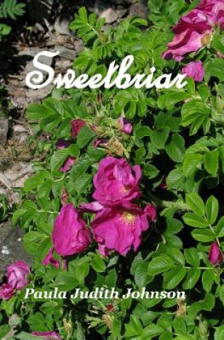 Book Sweetbriar Paula Judith Johnson