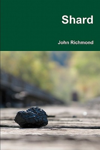 Книга Shard John Richmond