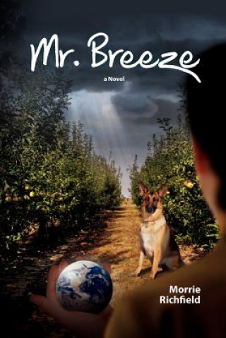 Book Mr. Breeze MR Morrie Richfield