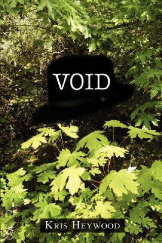 Knjiga Void Kris Heywood