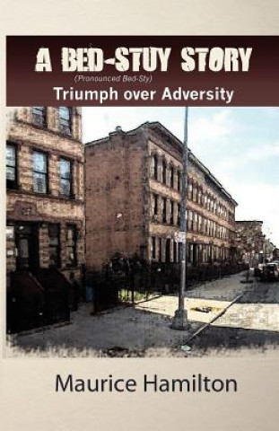 Livre A Bed-Stuy Story MR Maurice Hamilton