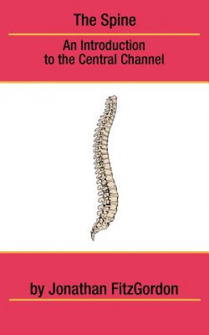 Knjiga The Spine: An Introduction to the Central Channel Jonathan Fitzgordon
