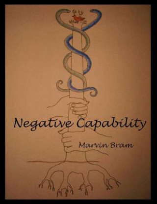 Knjiga Negative Capability Marvin Bram
