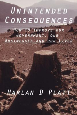 Kniha Unintended Consequences: How to Improve our Government, our Businesses, and our Lives Harlan D Platt