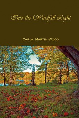 Book Into the Windfall Light Carla Martin-Wood