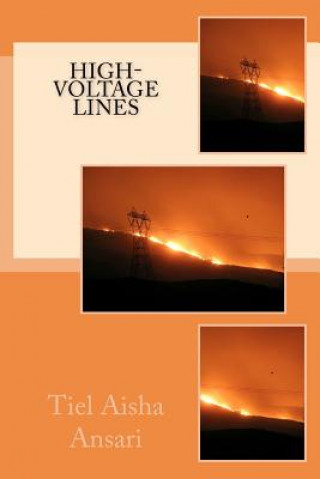 Knjiga High Voltage Lines Tiel Aisha Ansari