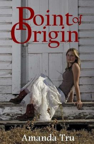 Kniha Point of Origin: Book Three Amanda Tru