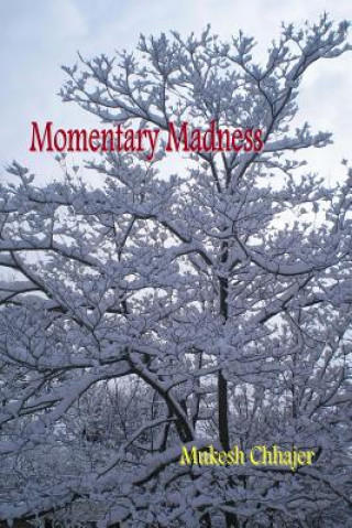 Kniha Momentary Madness Mukesh Chhajer