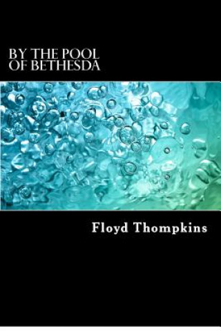 Книга By the Pool of Bethesda: Biblical Meditations on Long-term Illness and Terminal Diagnoses Floyd Thompkins