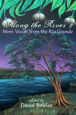 Kniha Along the River 2: More Voices from the Rio Grande David Bowles