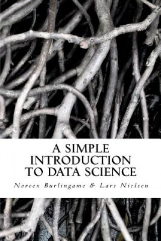 Book A Simple Introduction to DATA SCIENCE Lars Nielsen