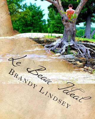 Libro Le Beau Ideal Brandy Lindsey