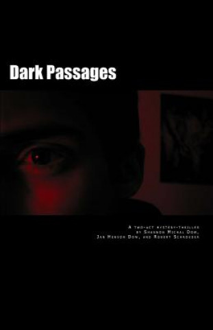 Buch Dark Passages Shannon Michal Dow