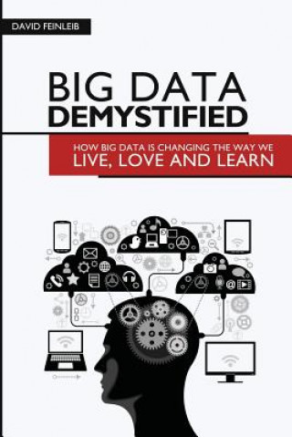 Carte Big Data Demystified: How Big Data Is Changing The Way We Live, Love And Learn David Feinleib
