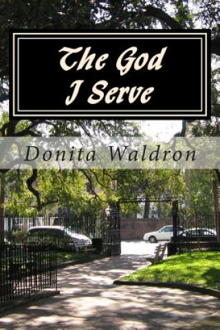 Kniha The God I Serve Donita Waldron
