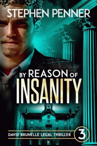 Knjiga By Reason of Insanity: David Brunelle Legal Thriller #3 Stephen Penner