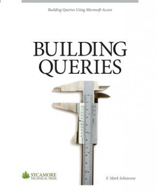 Buch Building Queries: Using Microsoft Access 2010 F Mark Schiavone