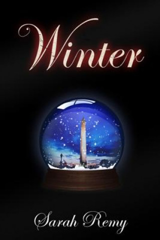 Book Winter Sarah Remy