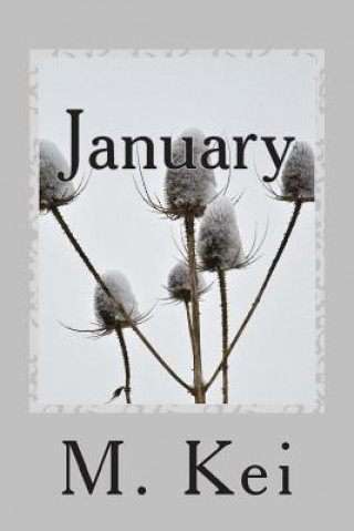 Könyv January: A Tanka Diary M Kei
