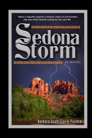 Kniha Sedona Storm: A Spiritual Warfare Novel Barbara Scott