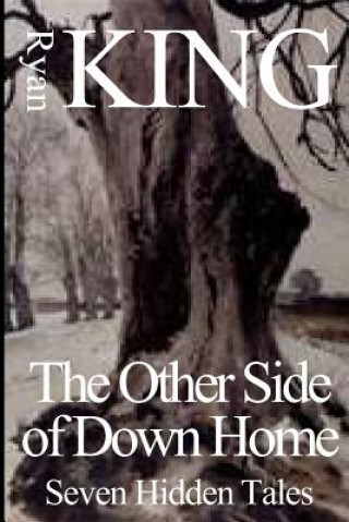 Knjiga Other Side of Down Home: Seven Hidden Tales Ryan King