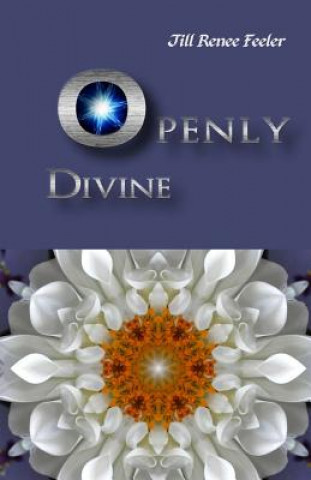 Kniha Openly Divine: Inspiration for the Conscious Creator in Us All Jill Renee Feeler