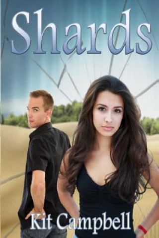 Buch Shards Kit Campbell