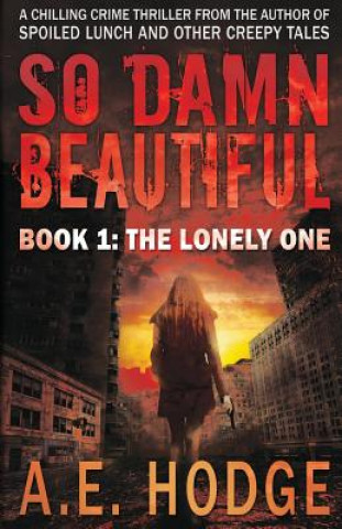 Kniha So Damn Beautiful: The Lonely One A E Hodge